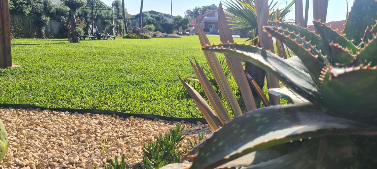 Hollidays Dreams Villa Povoa de Varzim Luaran gambar