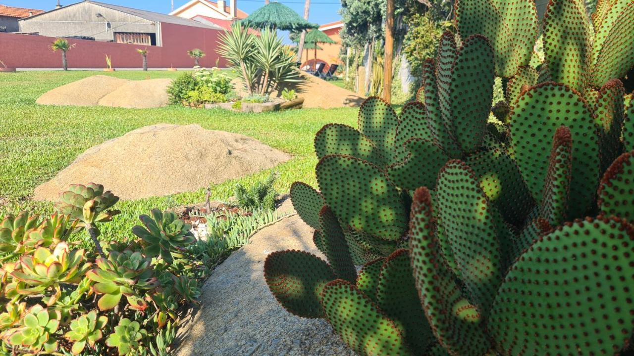 Hollidays Dreams Villa Povoa de Varzim Luaran gambar