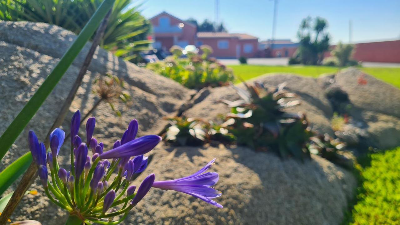Hollidays Dreams Villa Povoa de Varzim Luaran gambar