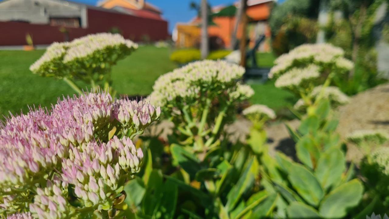 Hollidays Dreams Villa Povoa de Varzim Luaran gambar